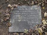 image of grave number 198966